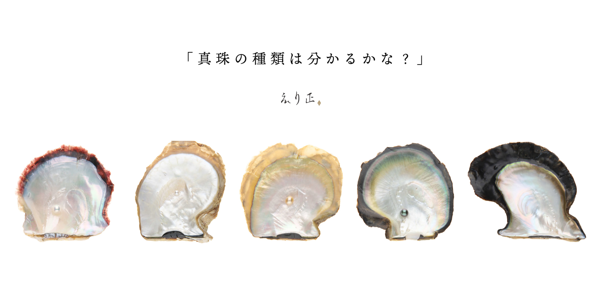 真珠の種類