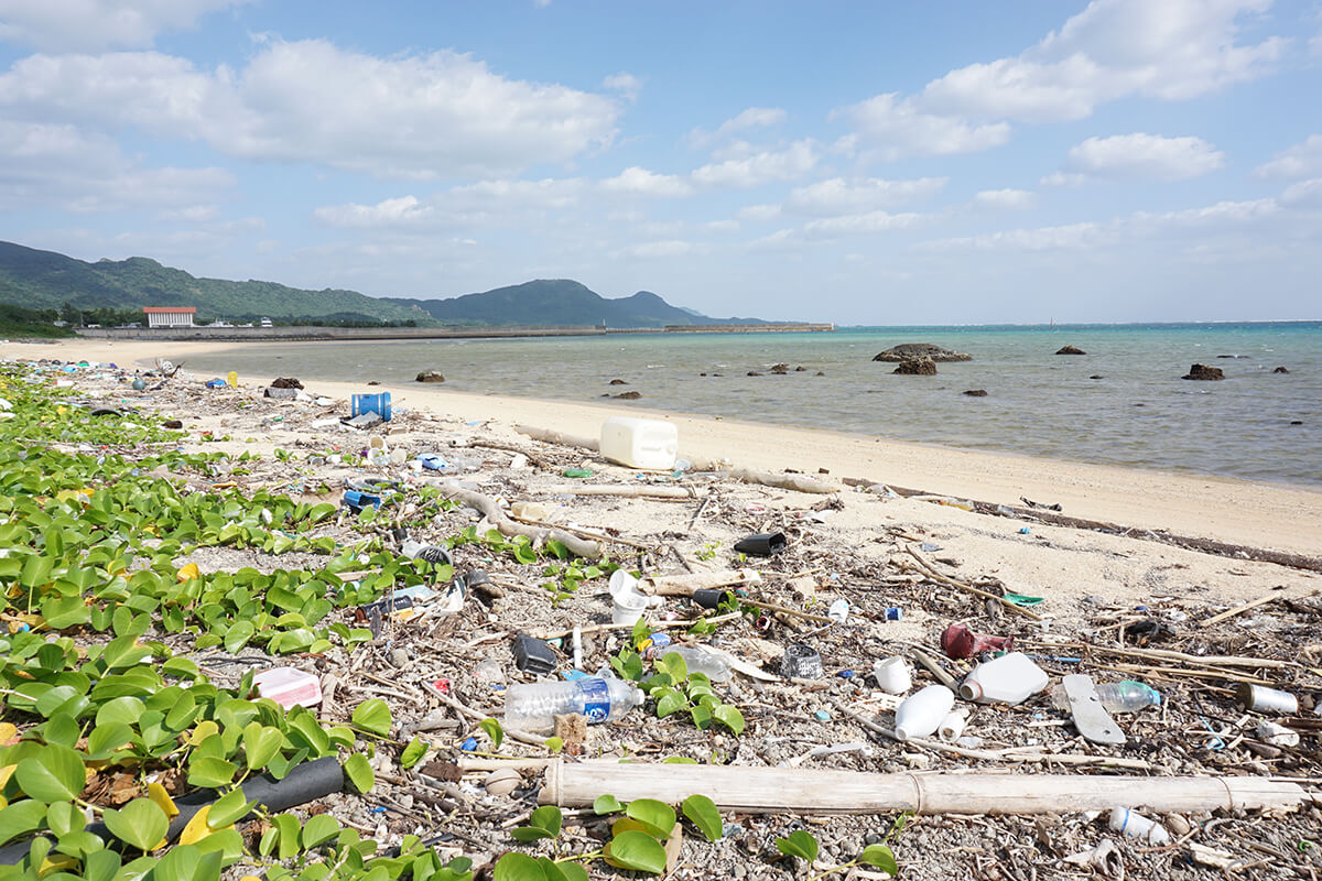 海洋汚染の原因と解決策